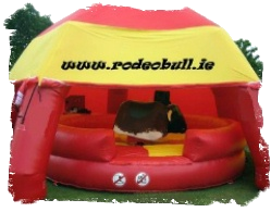 Irish Rodeo Bull with shelter, for Hire 